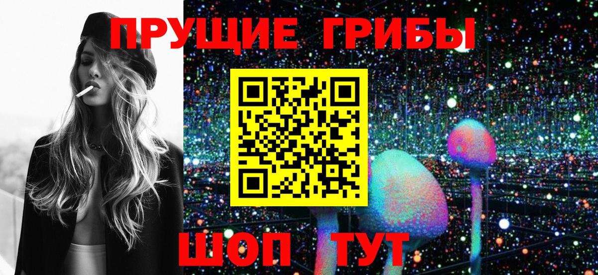 Барнаул  купить  сайты  Вход с VPN  Псилоцибиновые грибы Psilocybe 