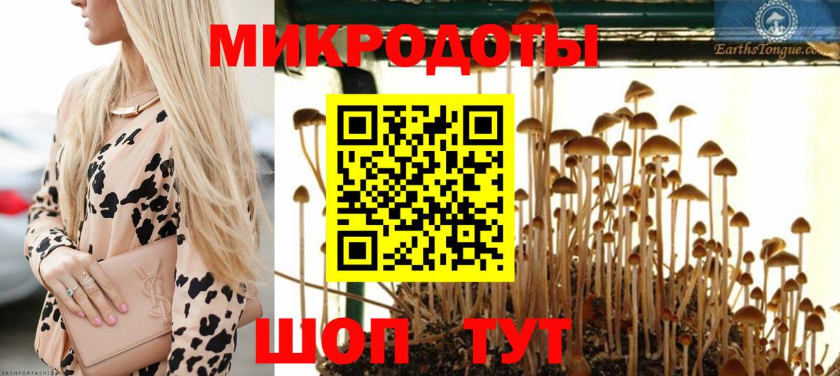 Псилоцибиновые грибы Cubensis Барнаул